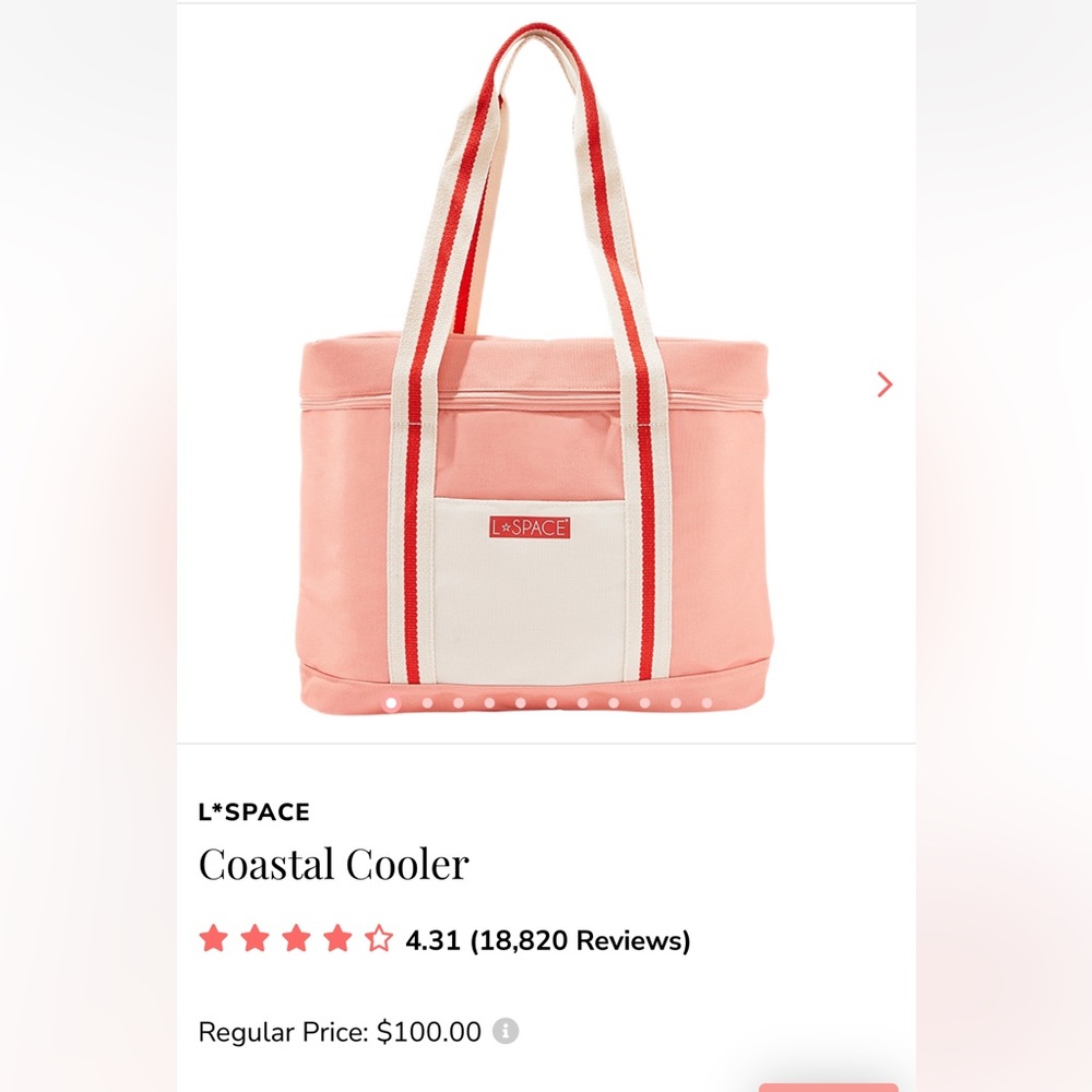 L*Space insulated cooler - coral color